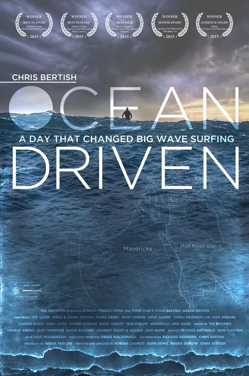 Affiche de Chris Bertish: Ocean Driven