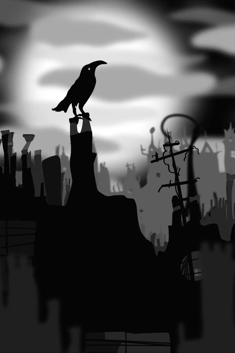 Poster van Crow Boy