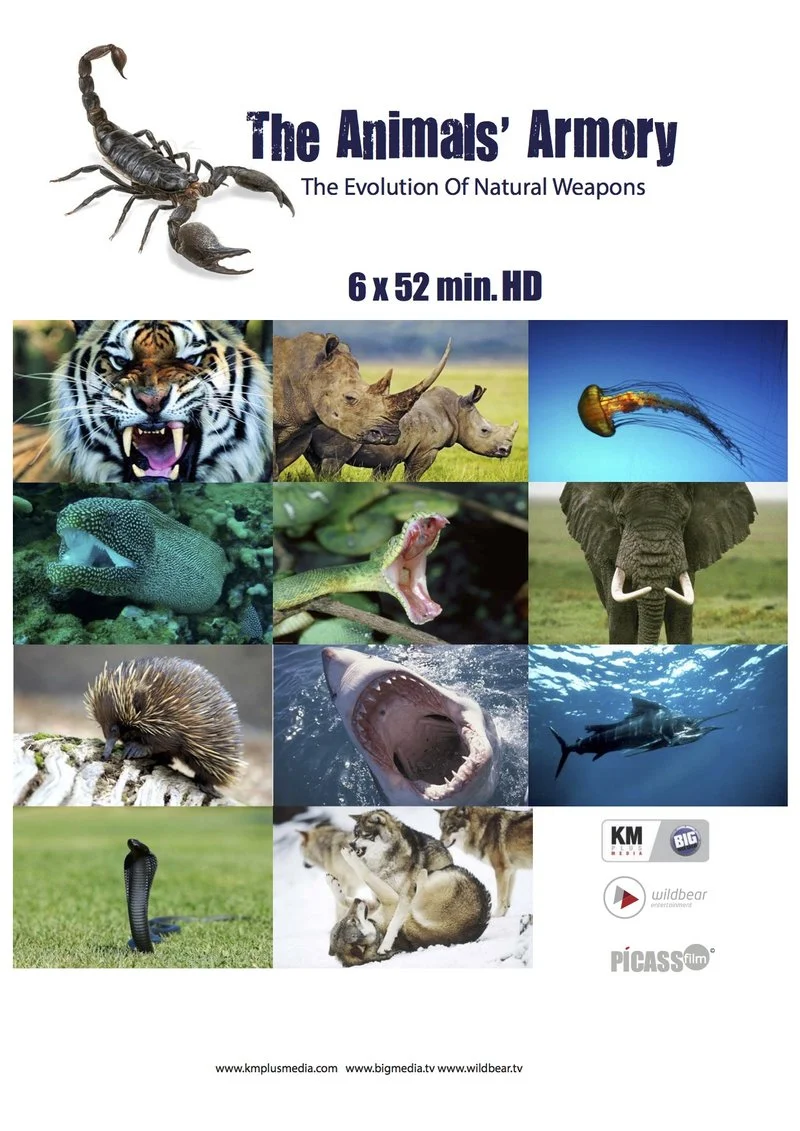 Poster van Animal Armour