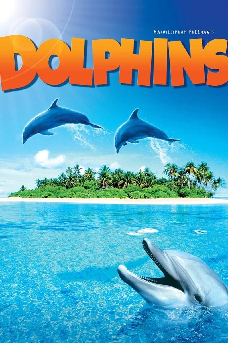 Poster van Dolphins