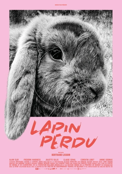 Poster Lost Rabbit