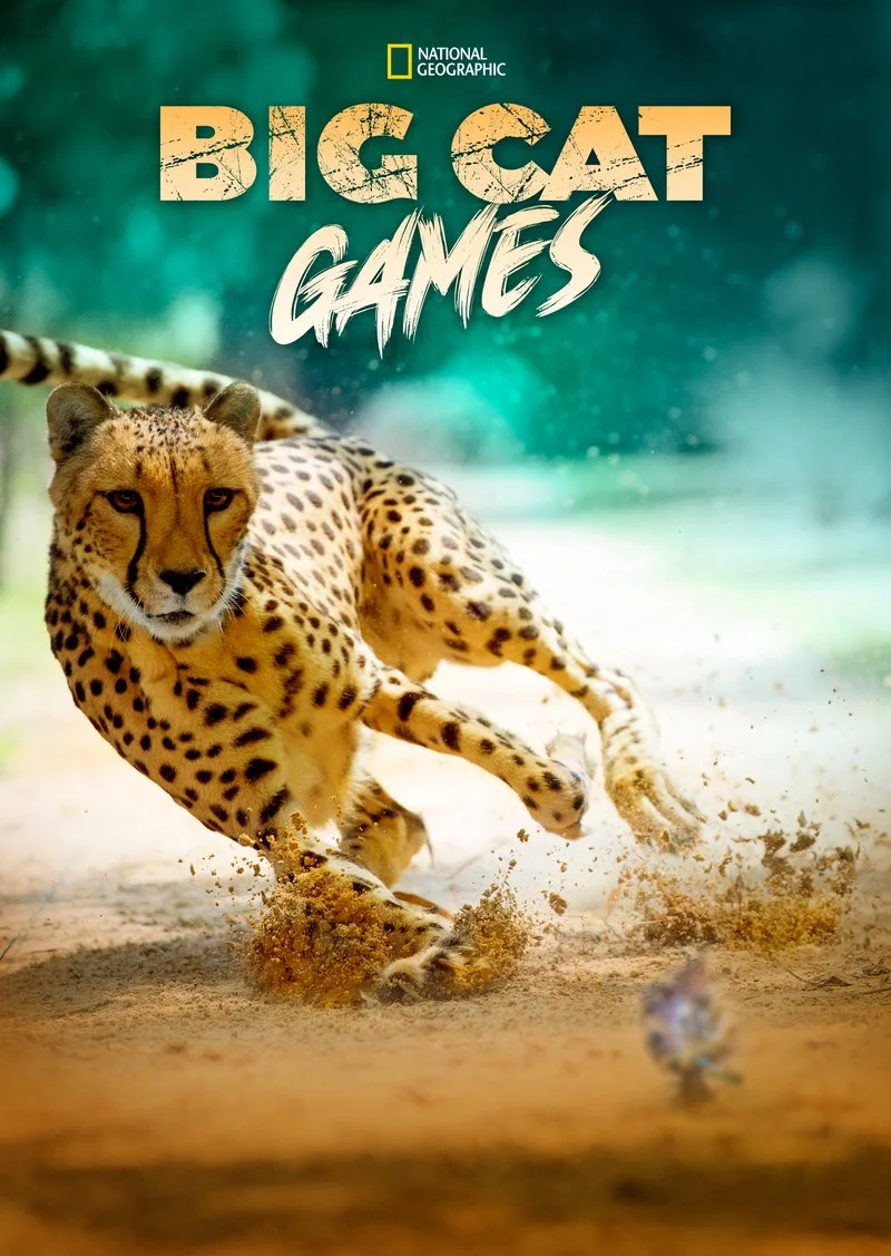 Affiche de Big Cat Games