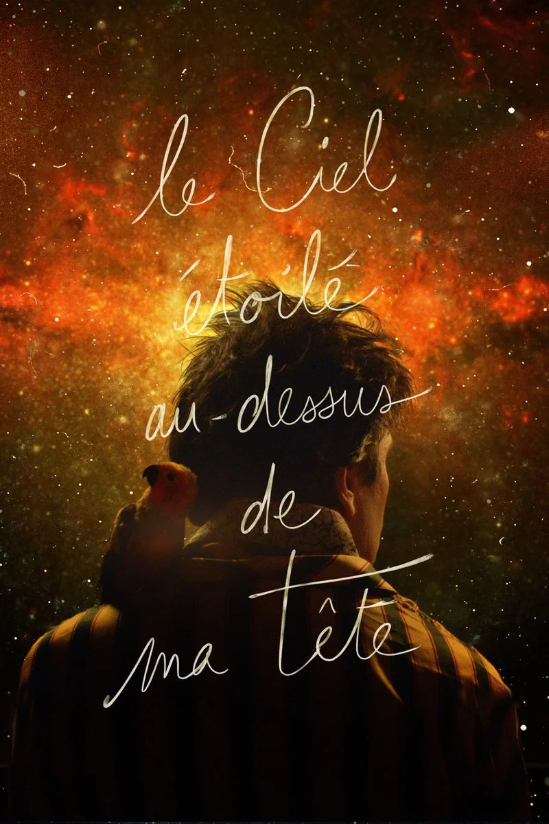 Affiche de Le ciel étoilé au-dessus de ma tête