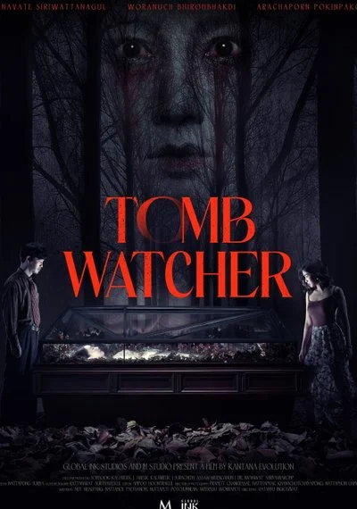 Affiche Tomb Watcher