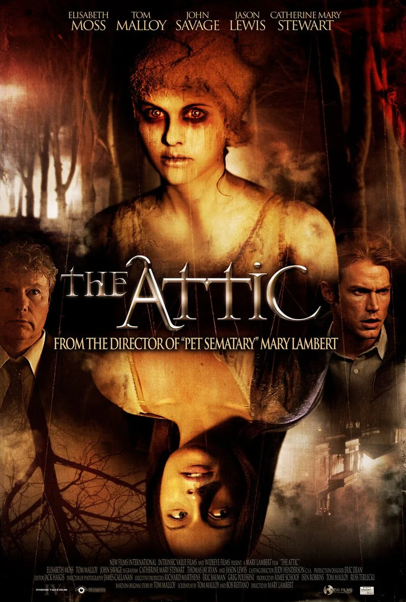 Affiche de The Attic