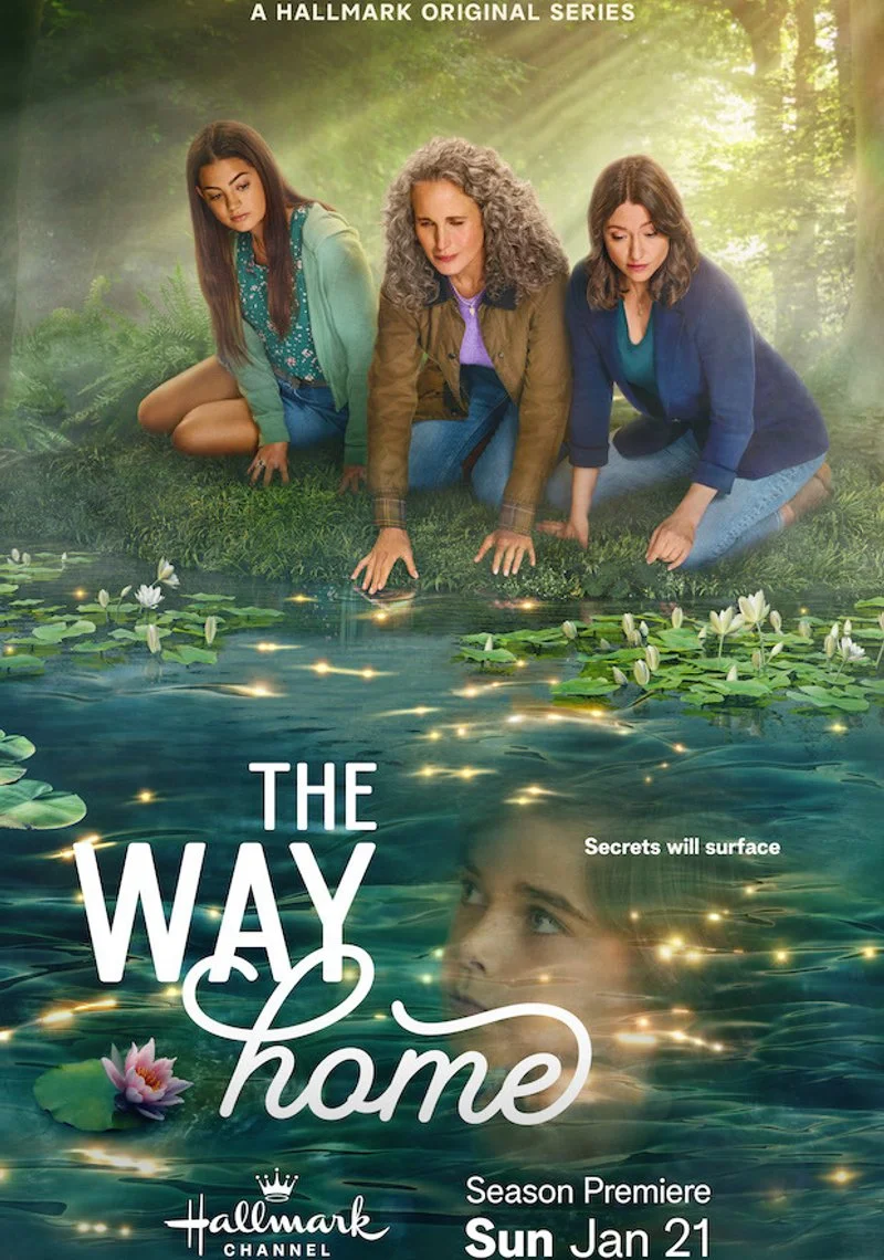 Affiche de The Way Home