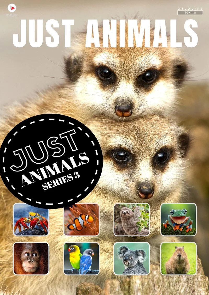 Affiche de Just Animals