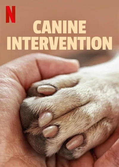 Affiche Canine Academy