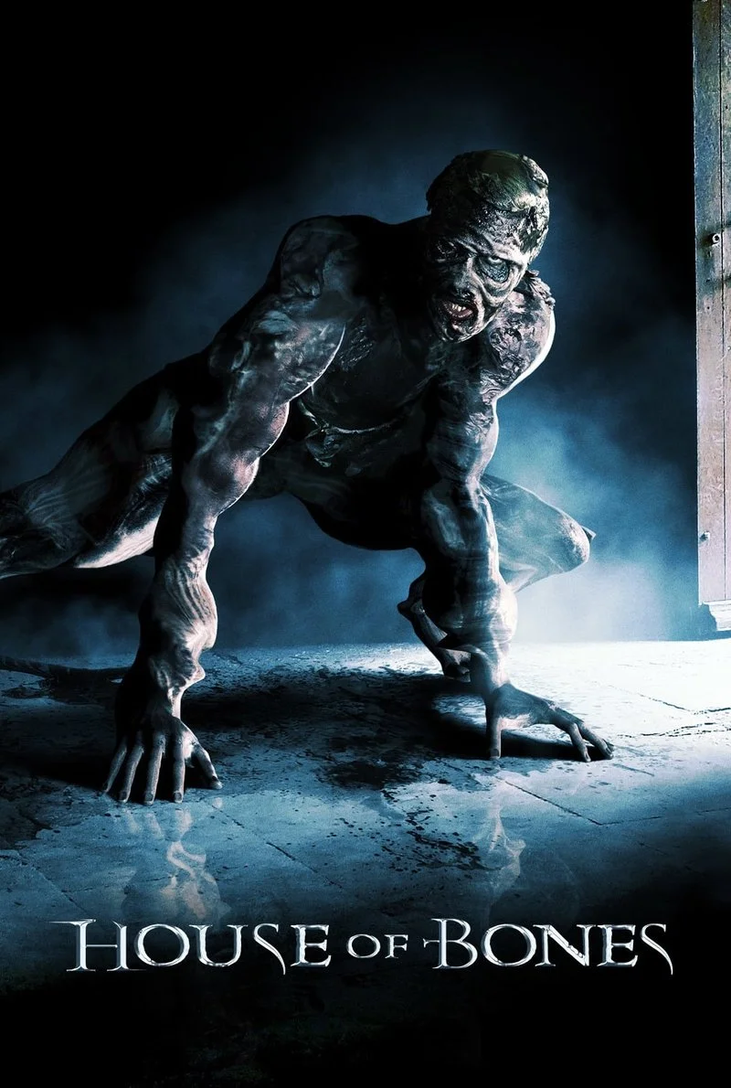 Poster van House of bones