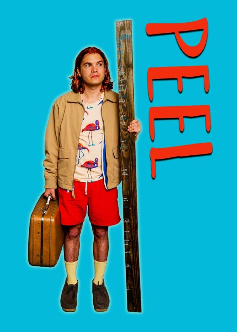 Poster van Peel