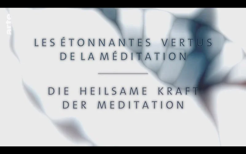 Affiche de Les étonnantes vertus de la méditation