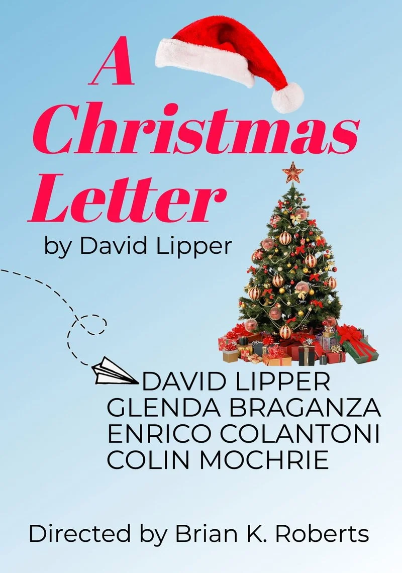 Affiche de A Christmas Letter