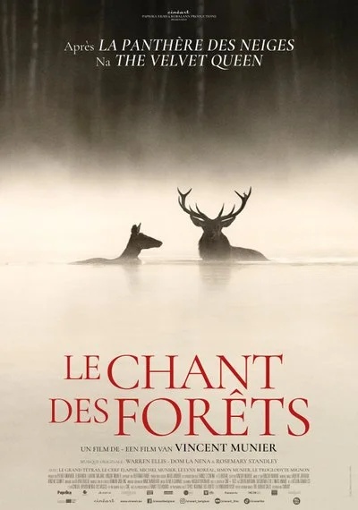 Poster Le Chant des forêts