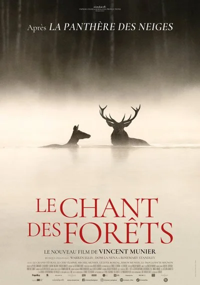 Affiche Le Chant des forêts