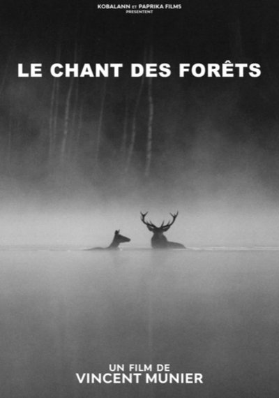 Affiche Le Chant des forêts