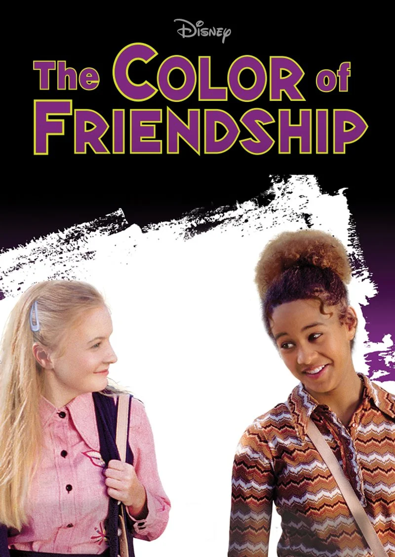 Poster van The Color of Friendship