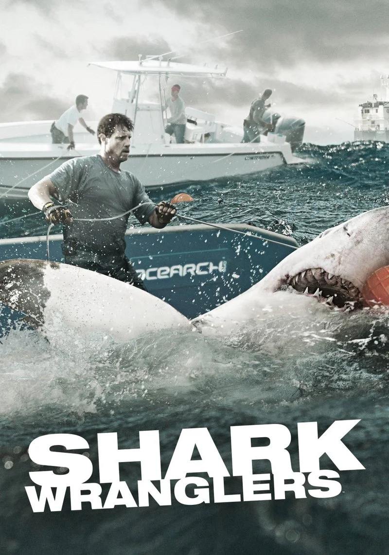 Affiche de Shark Wranglers