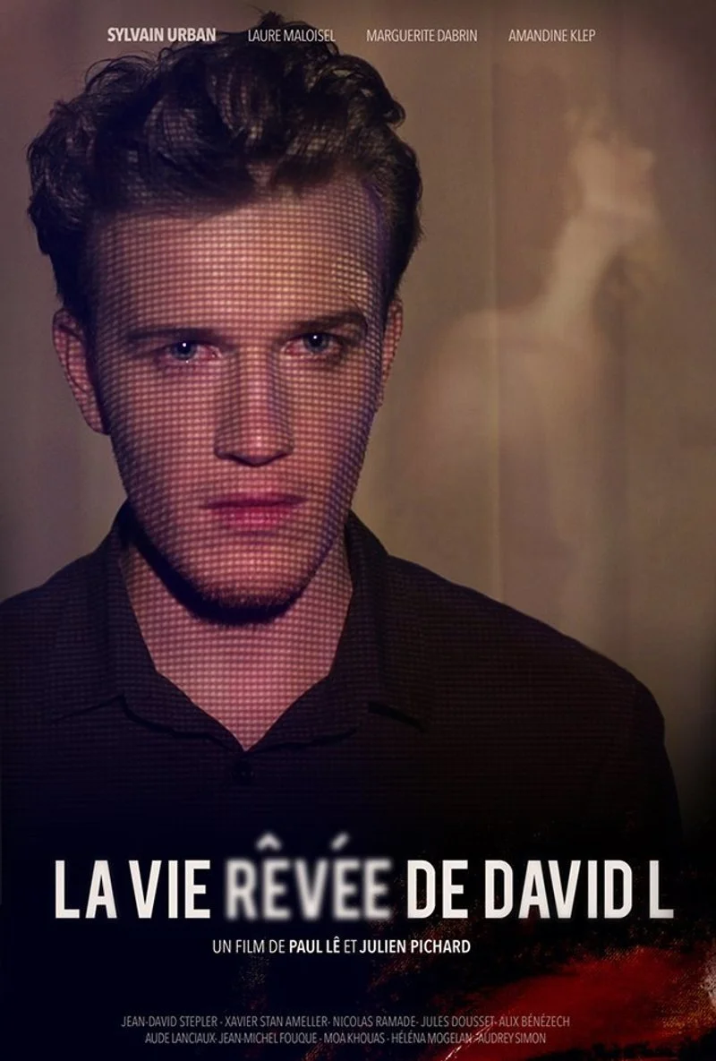 Affiche de La vie rêvée de David L