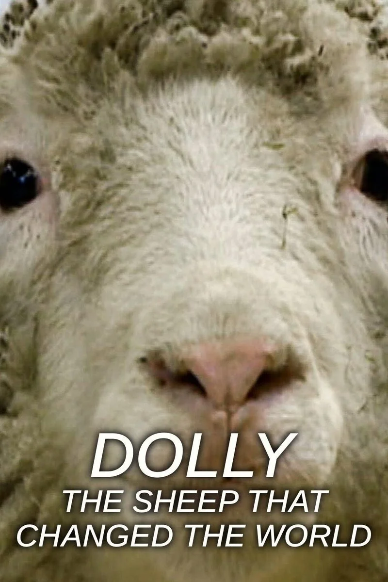 Affiche de Dolly: the sheep that changed the world