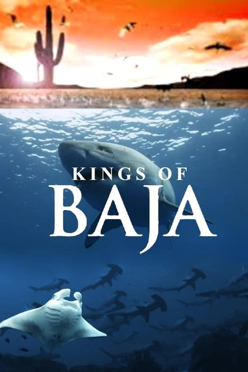 Affiche de Kings of Baja