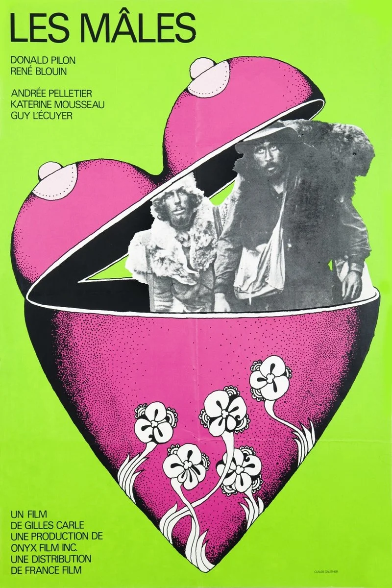 Affiche de Les mâles