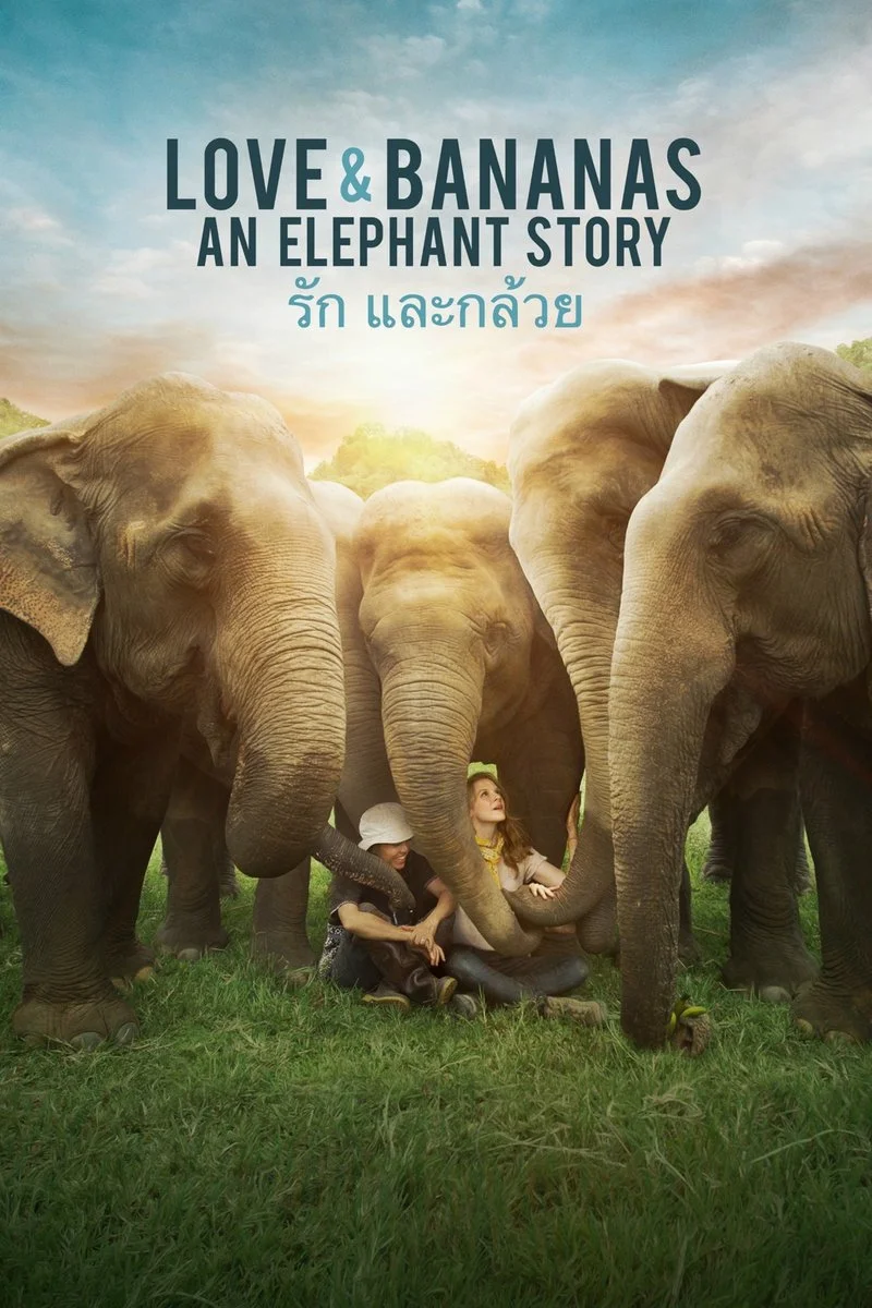 Affiche de Love &amp; Bananas: An Elephant Story