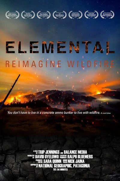 Poster Elemental: Reimagine Wildfire