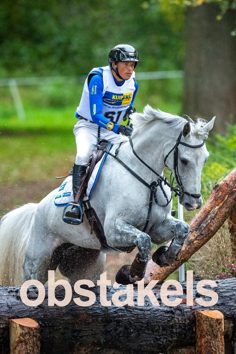 Poster van Obstakels