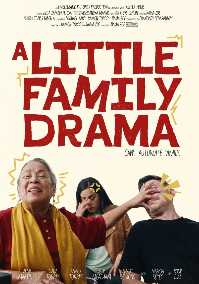 Poster van A Little Family Drama