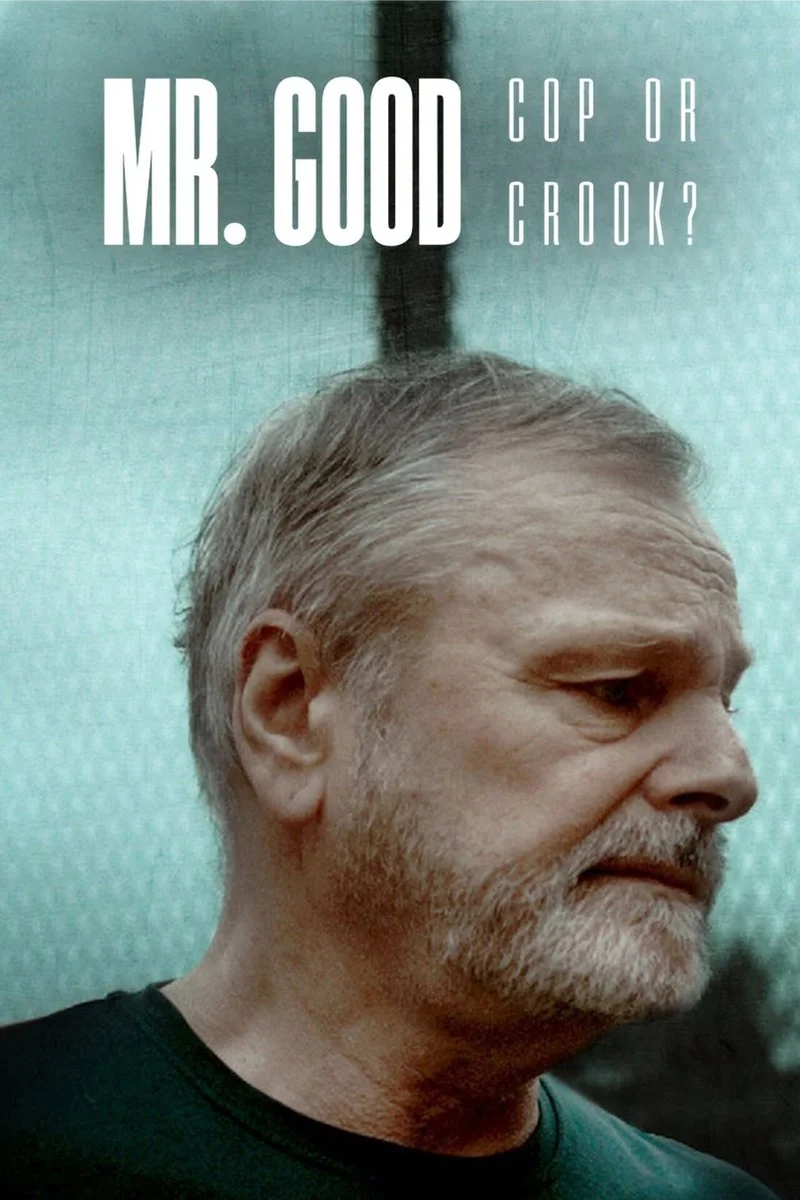 Affiche de Mr. Good : Flic ou baron ?