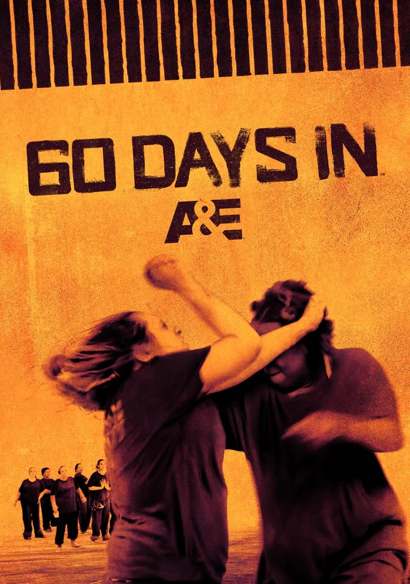 Poster van 60 Days In