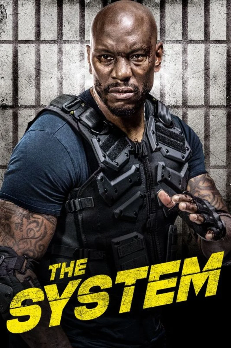 Poster van The System