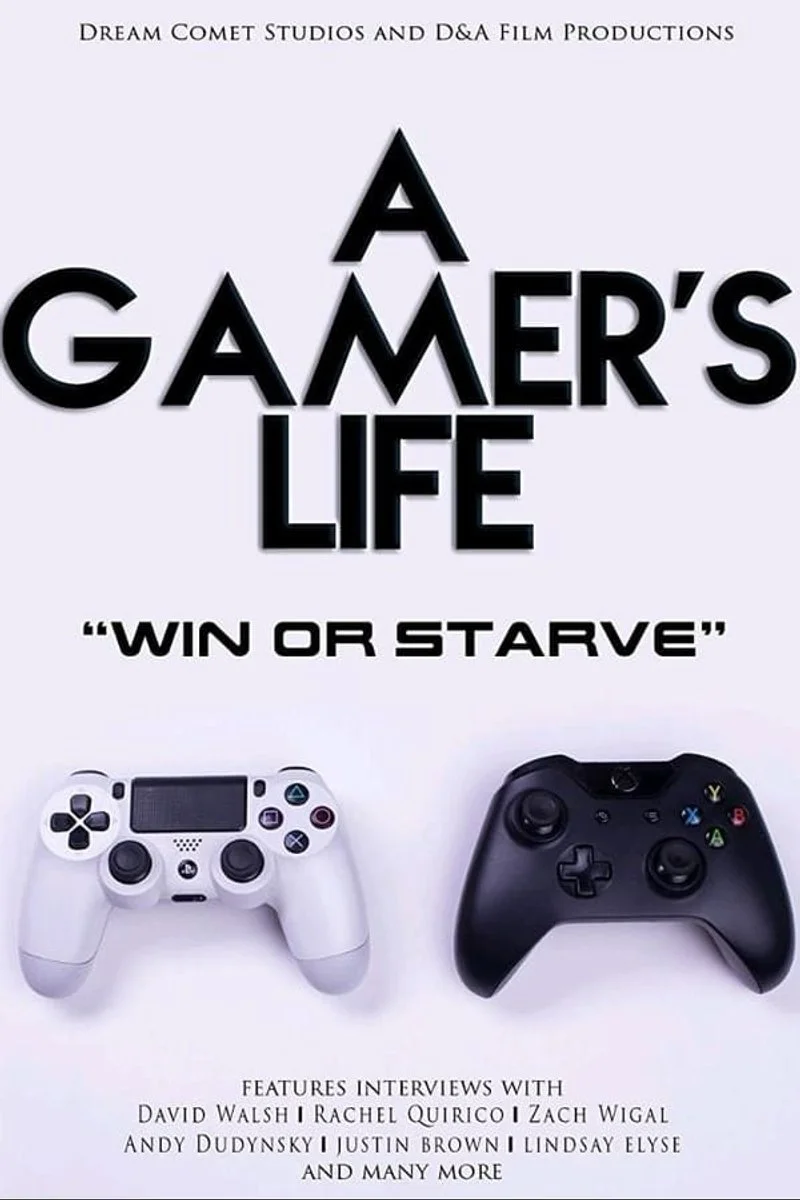 Affiche de Une vie de Gamer