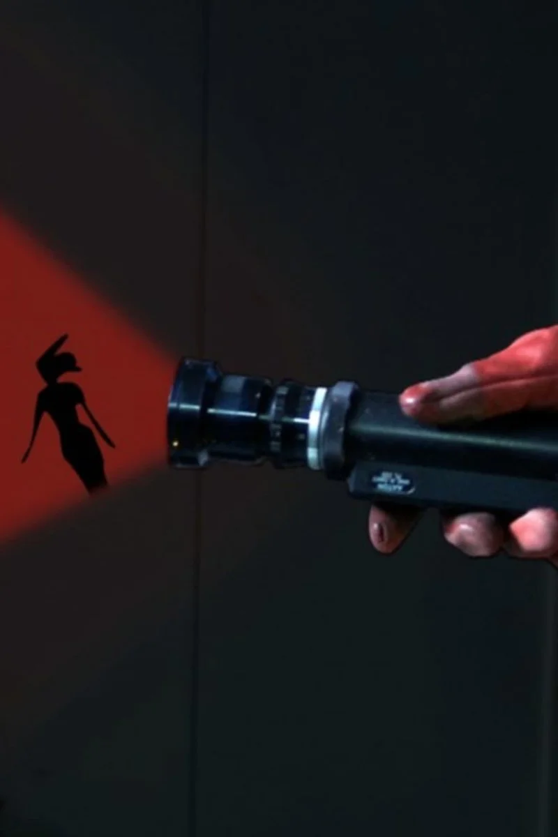 Poster van La rouge et la noire