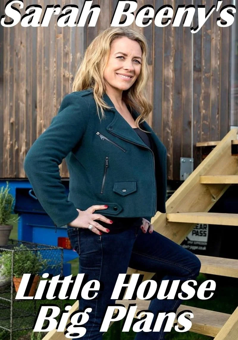 Poster van Sarah Beeny's Little House, Big Plans