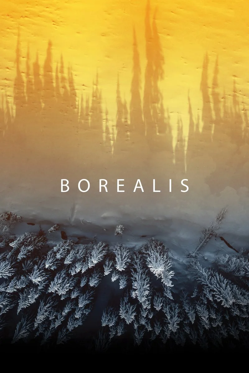 Affiche de Borealis (2021)
