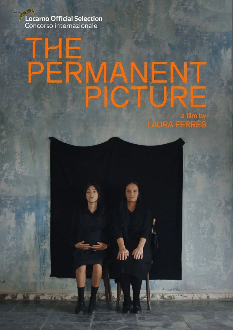 Affiche de The Permanent Picture