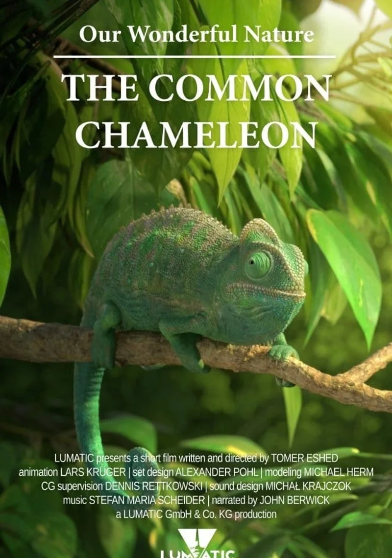 Poster van Our Wonderful Nature: The Common Chameleon