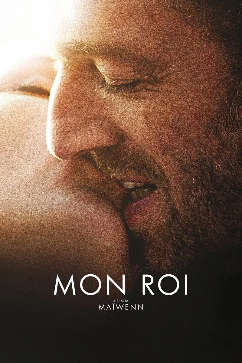 Affiche de Mon Roi