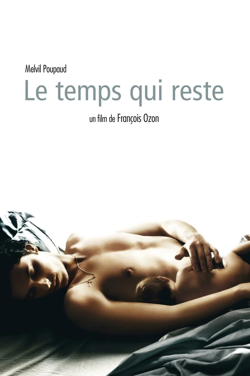 Affiche de Le temps qui reste (2005)