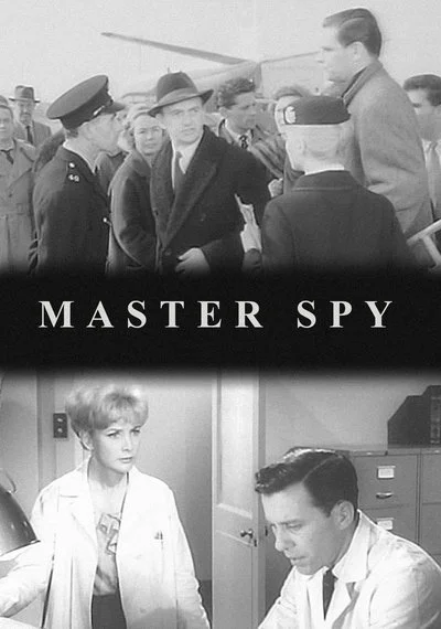 Poster Master Spy