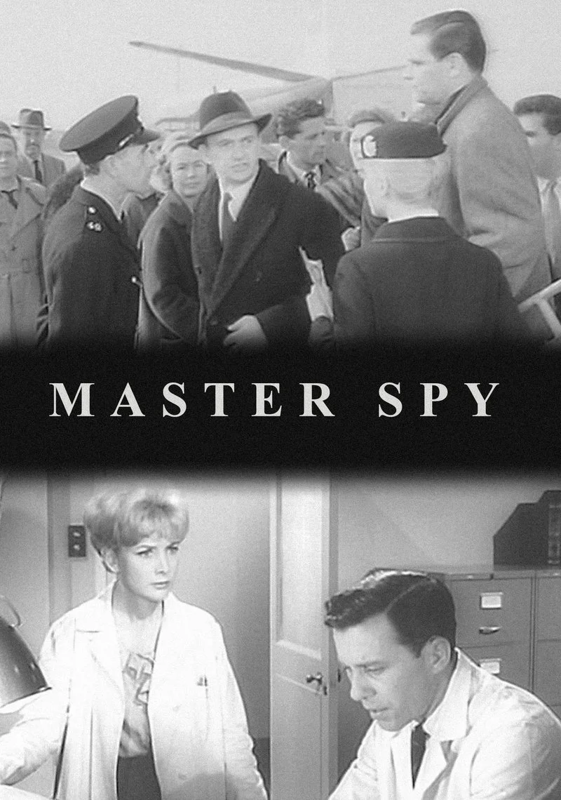 Affiche de Master Spy