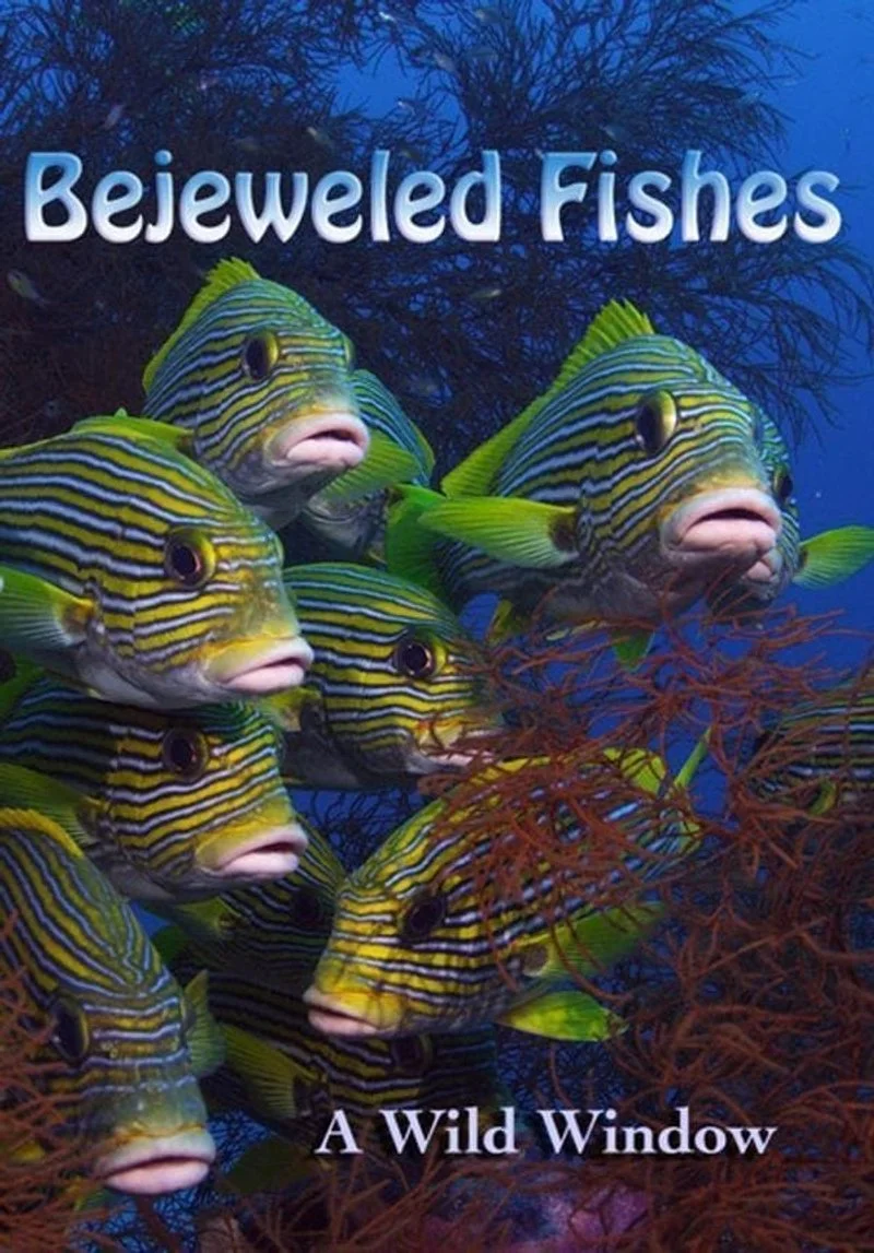 Affiche de Bejeweled Fishes