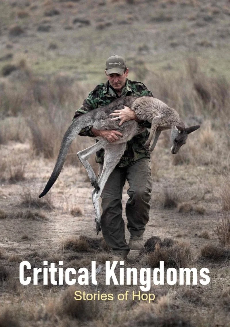 Poster van Critical kingdoms: stories of hope