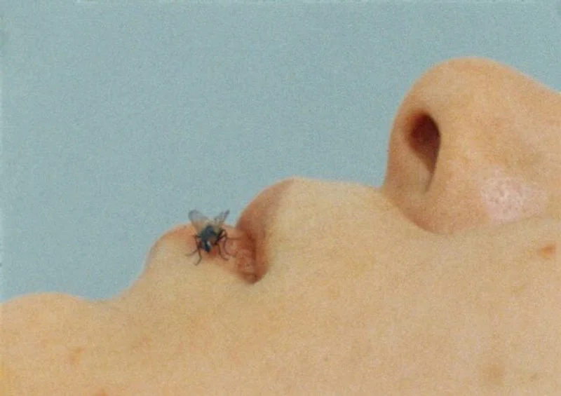 Affiche de Fly