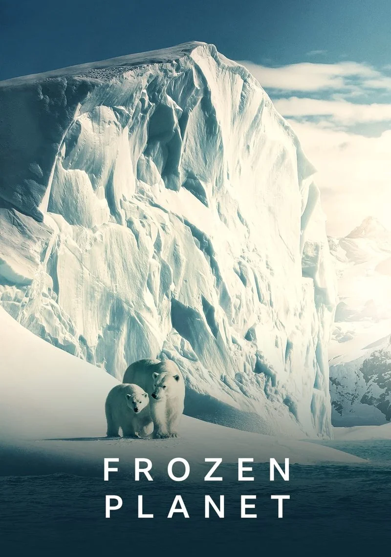 Poster van Frozen Planet