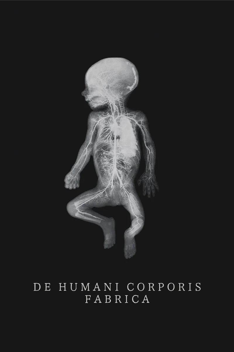 Poster van De Humani Corporis Fabrica
