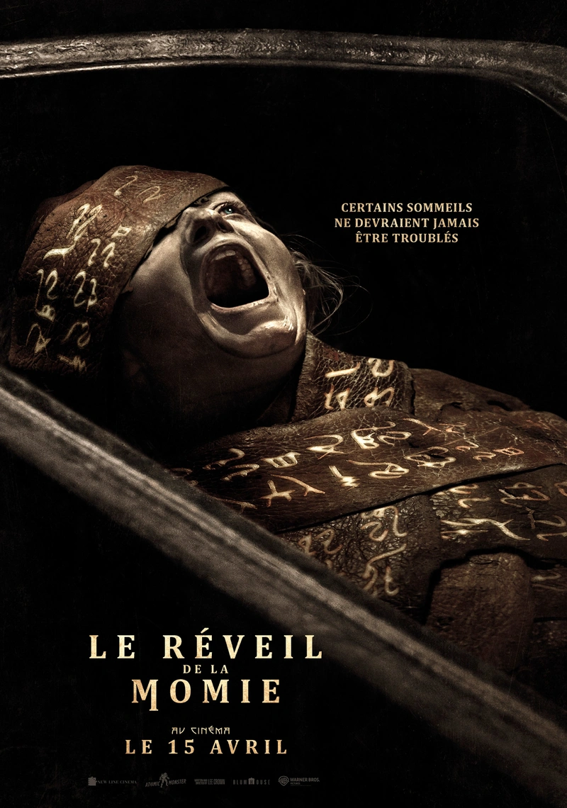 Affiche de Le Réveil de la Momie