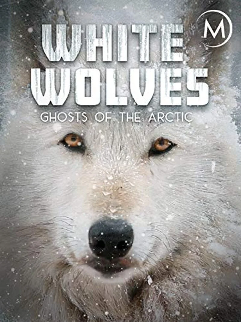 Affiche de White wolves