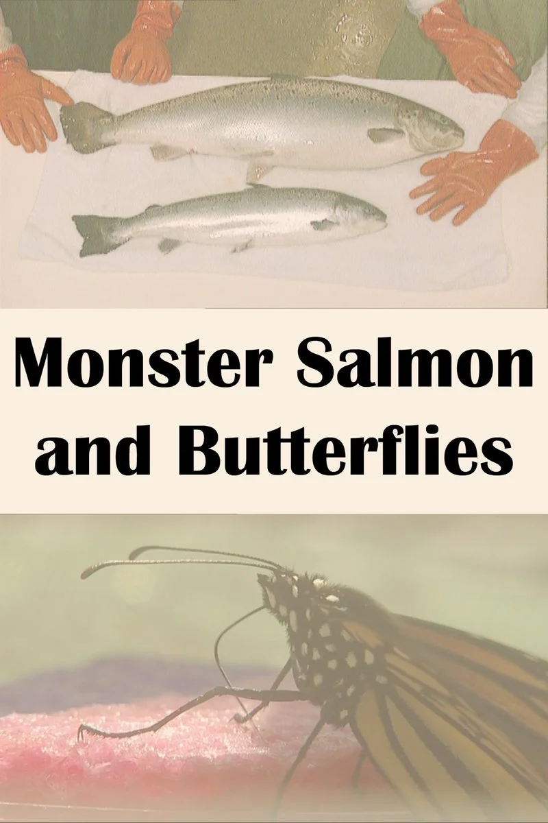 Affiche de Monster Salmon and Butterflies